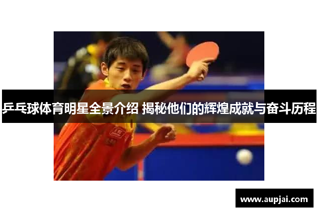 乒乓球体育明星全景介绍 揭秘他们的辉煌成就与奋斗历程
