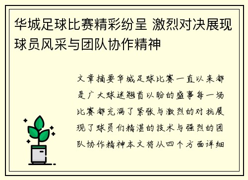 华城足球比赛精彩纷呈 激烈对决展现球员风采与团队协作精神
