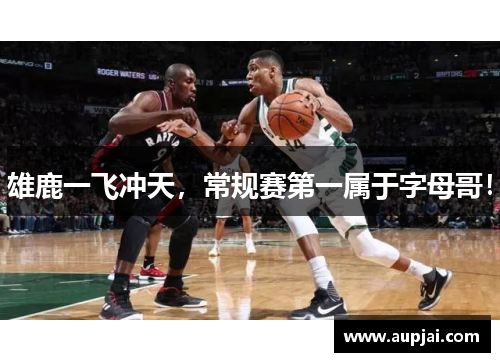 雄鹿一飞冲天，常规赛第一属于字母哥！