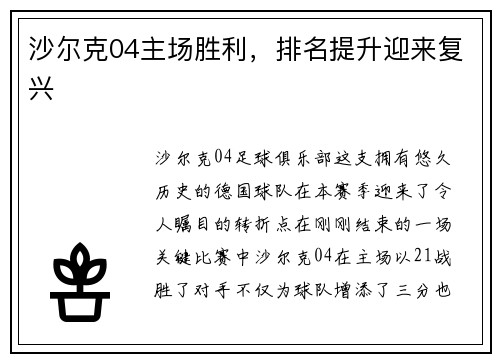 沙尔克04主场胜利，排名提升迎来复兴